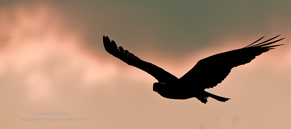 20090529_Santee_1265