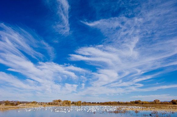 200711_New Mexico2423