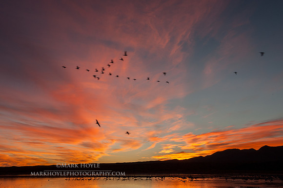 Flying at Sunset