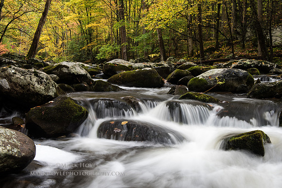 Fall in Tremont