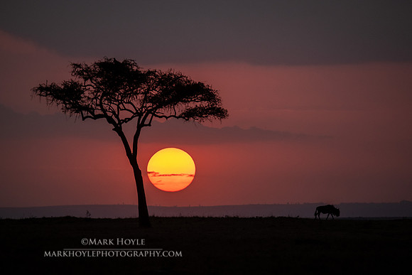 African Sunset