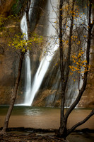 Fall color and Falls