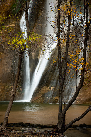 Fall color and Falls