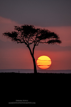 Mara Sunset