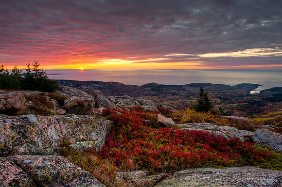 Cadillac Sunrise