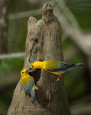 Passing the Meal