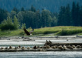 Southeast Alaska