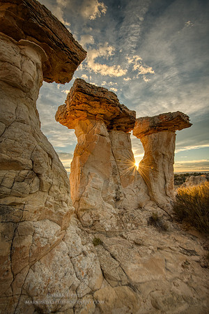 Starstruck HooDoos