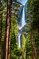 Yosemite