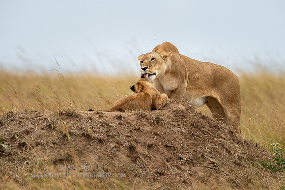 Grooming